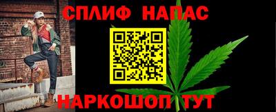 гидра Гатчина