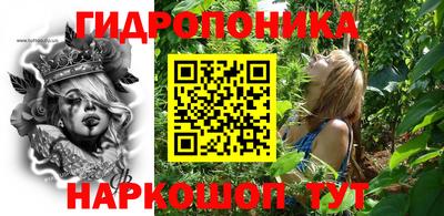 гидра Гатчина
