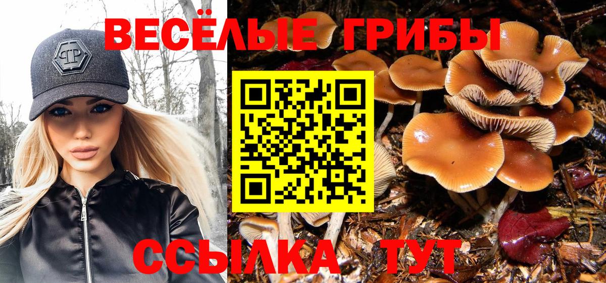 Галлюциногенные грибы мухоморы Канск